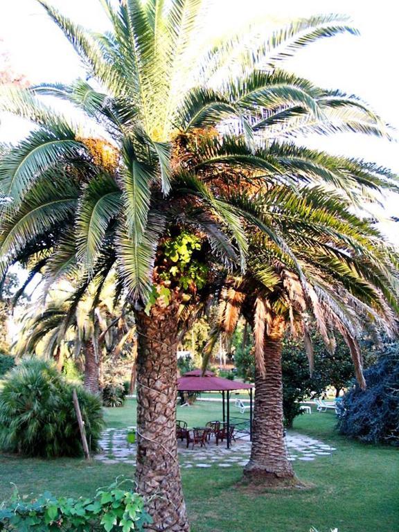 Hotel Parco Dei Principi Anzio Ruang foto